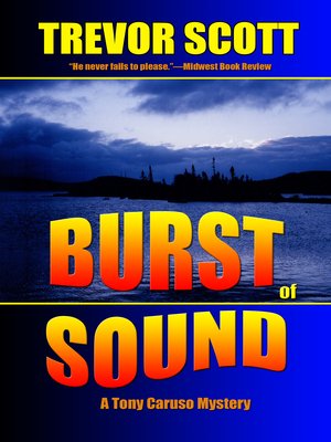 cover image of Burst of Sound